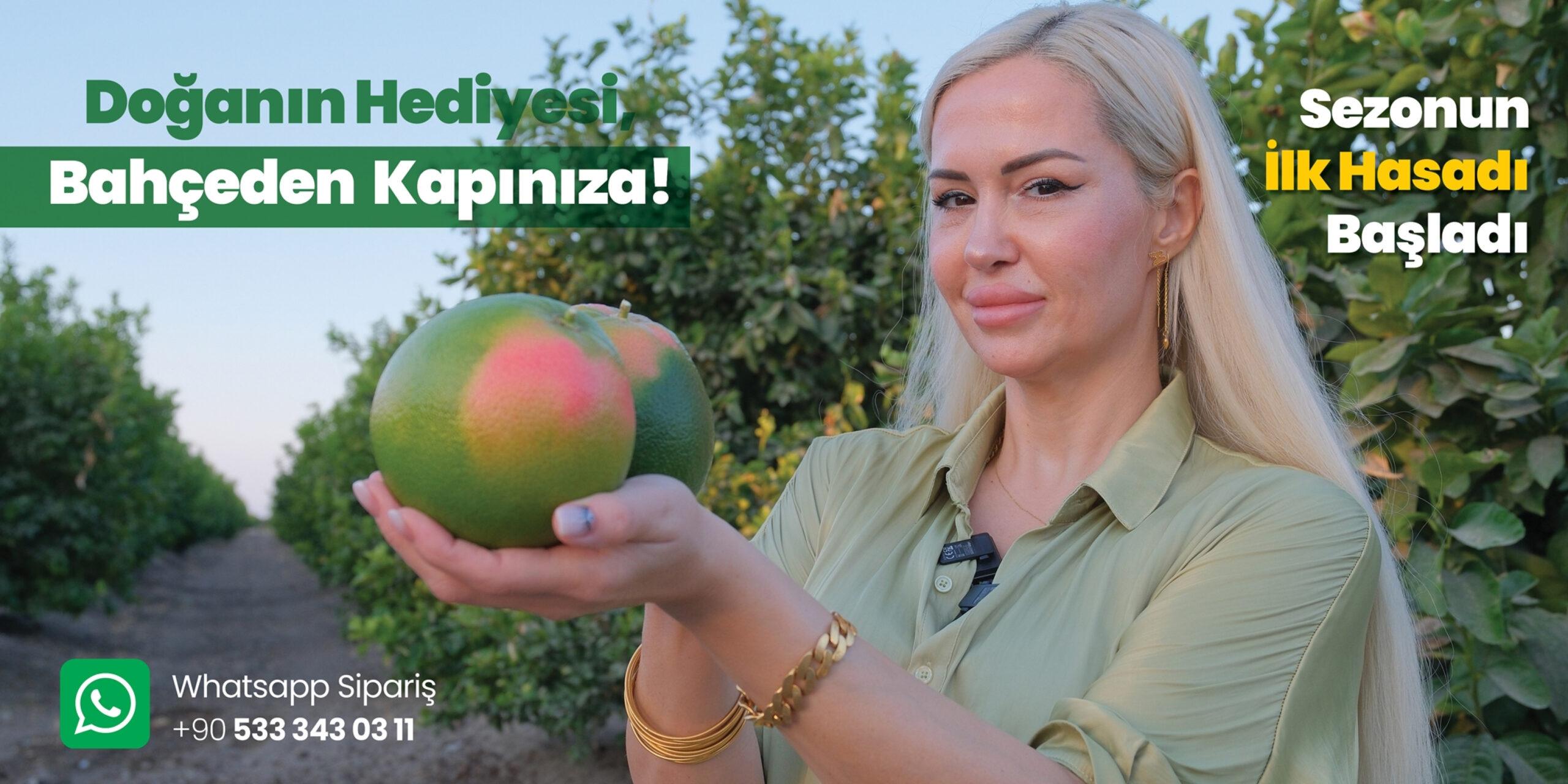 ALT TASARIMLAR-4000x2000