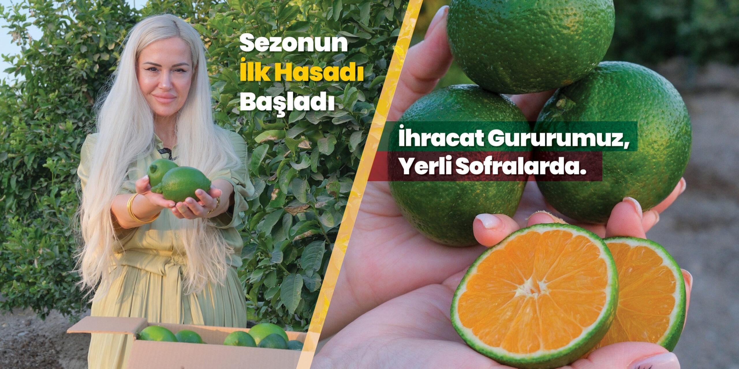 ALT TASARIMLAR2-4000x2000