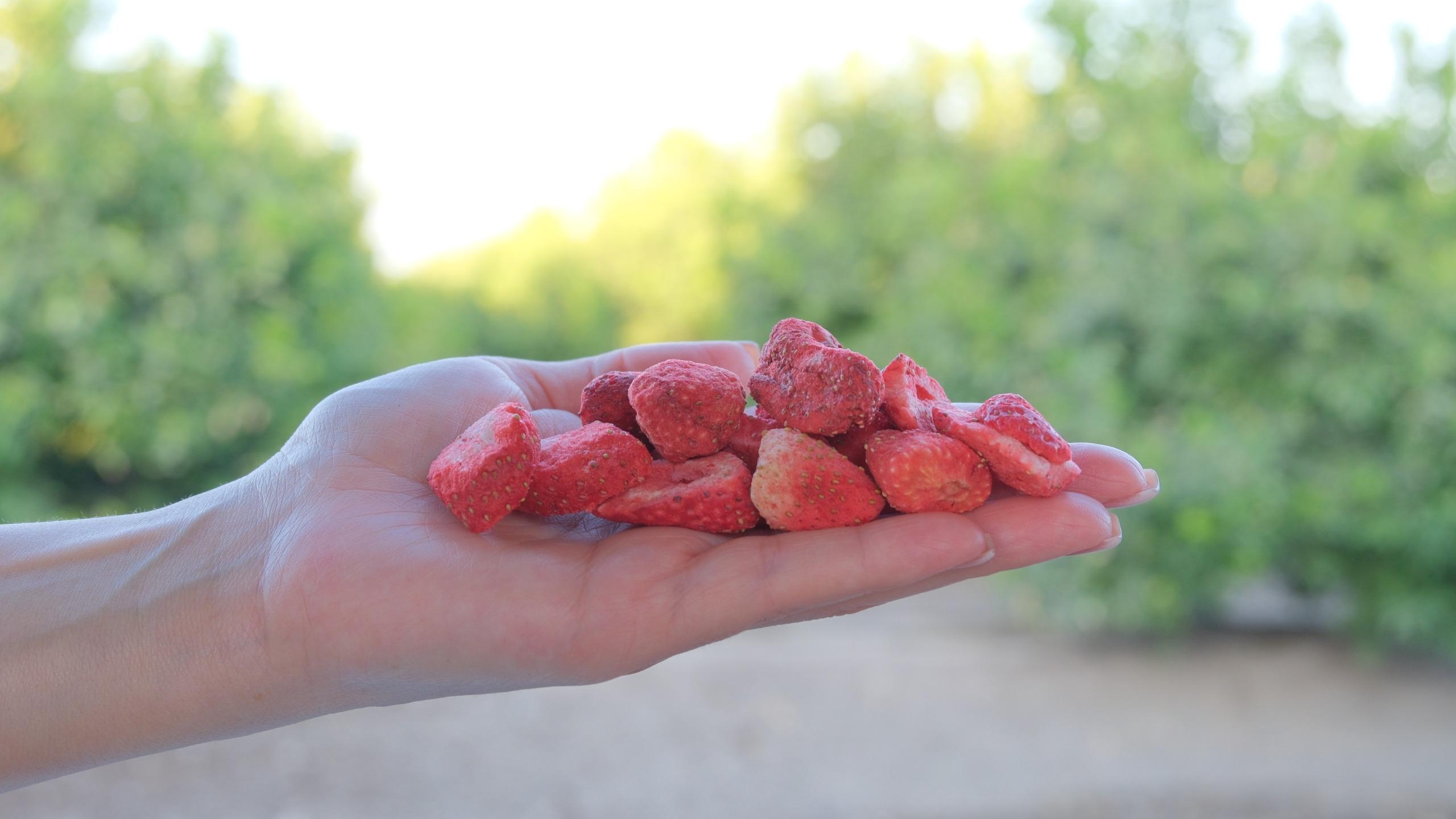 Miranın Hediye Bahçesi