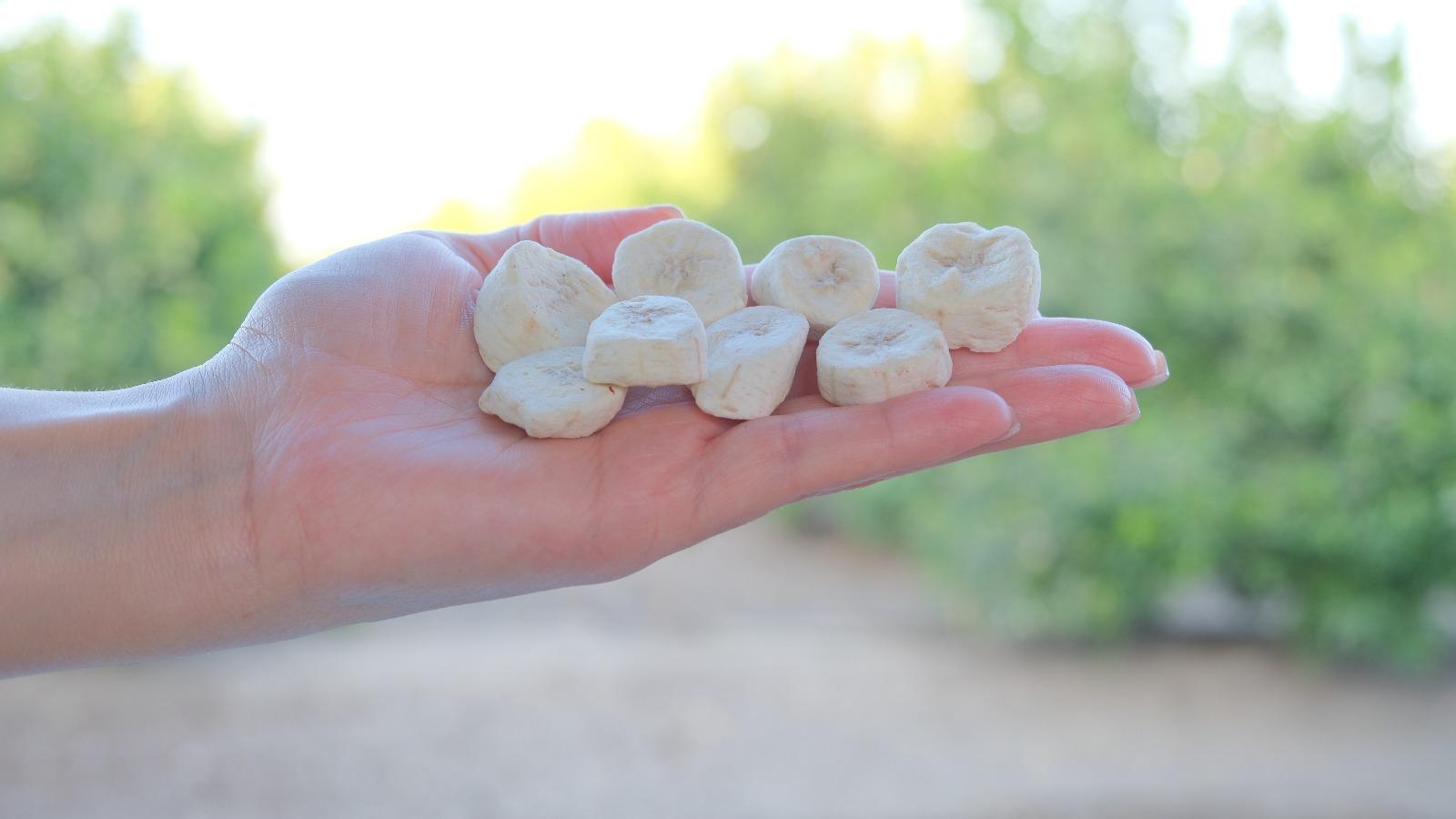 Miranın Hediye Bahçesi