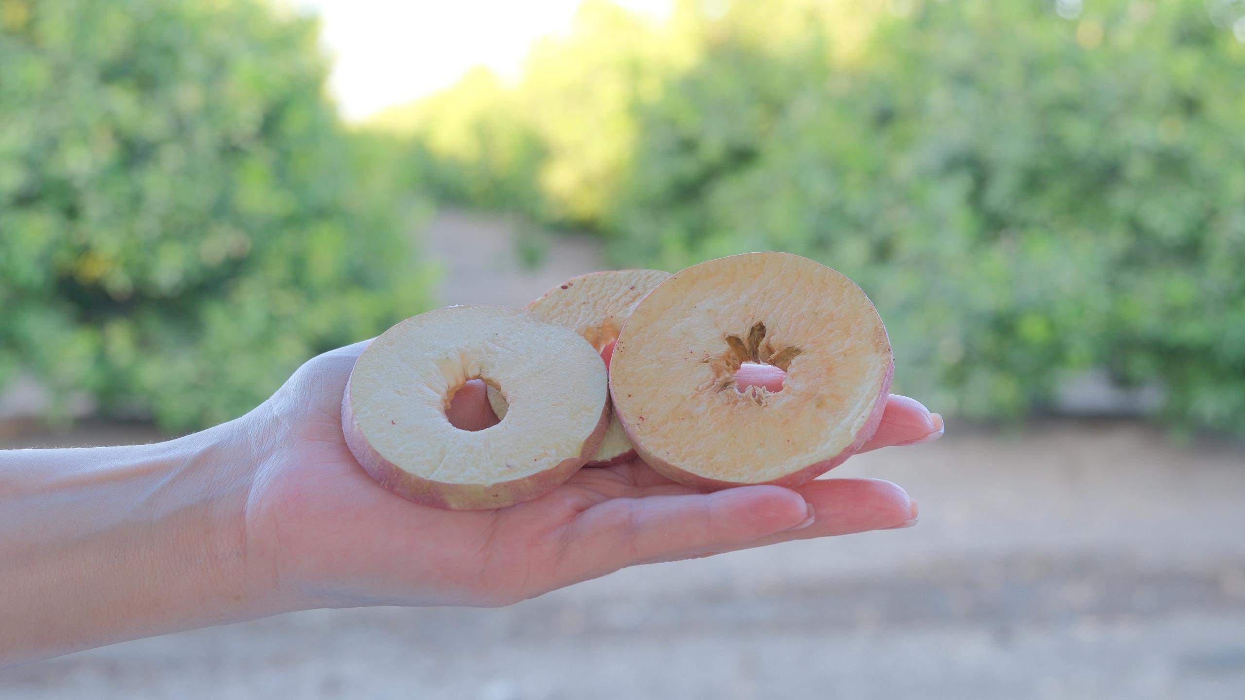 Miranın Hediye Bahçesi