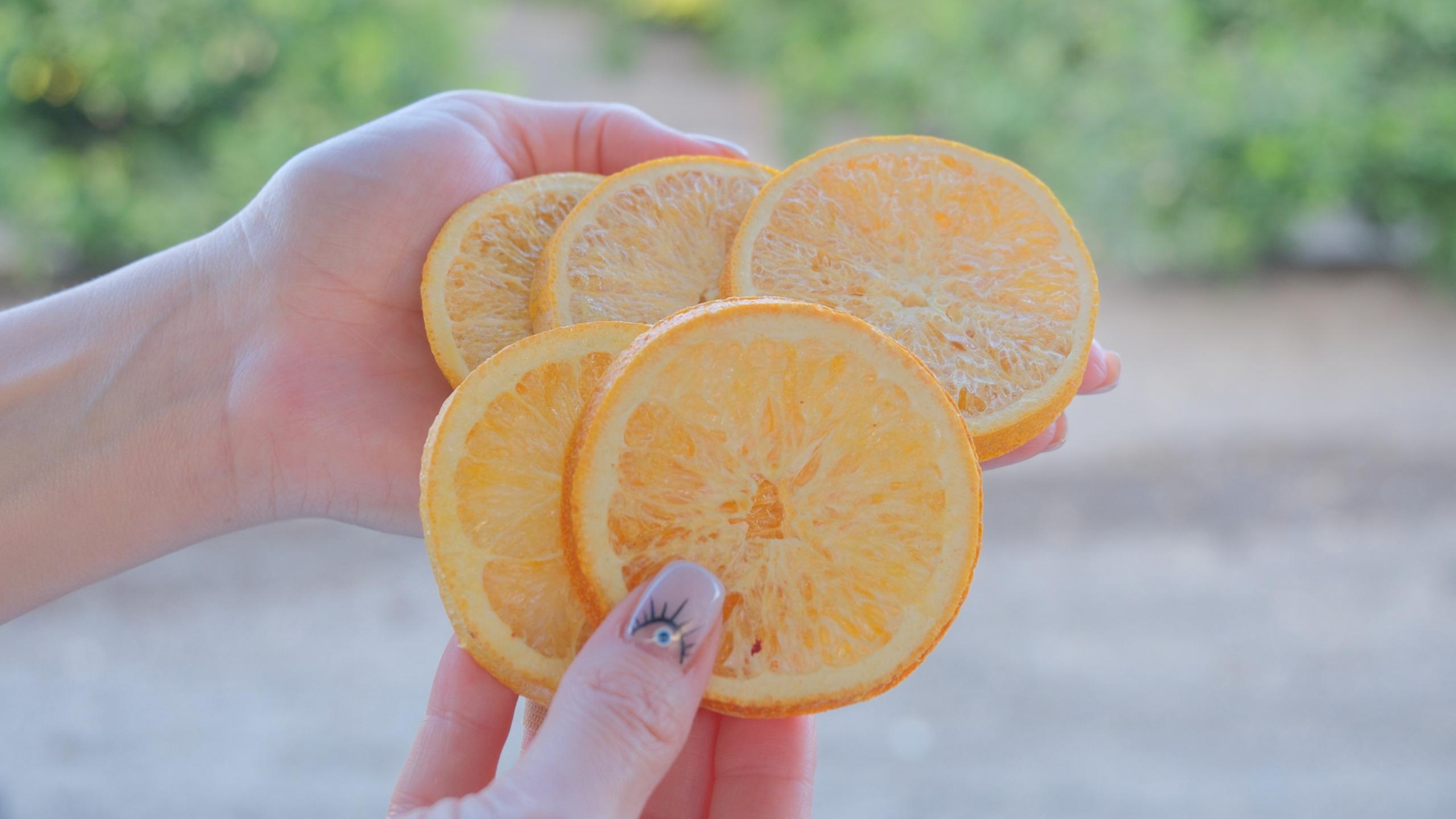 Miranın Hediye Bahçesi