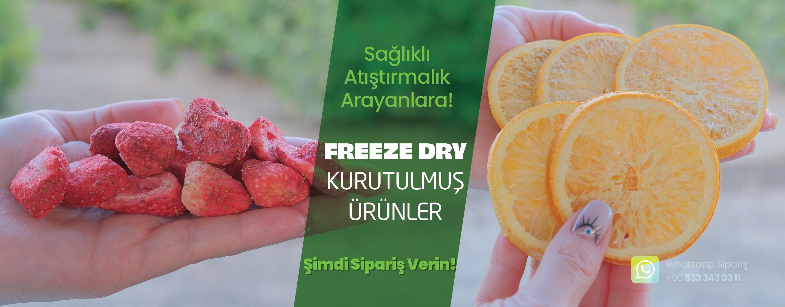 WhatsApp Image 2025-10-28 at 16.07.35 (1)