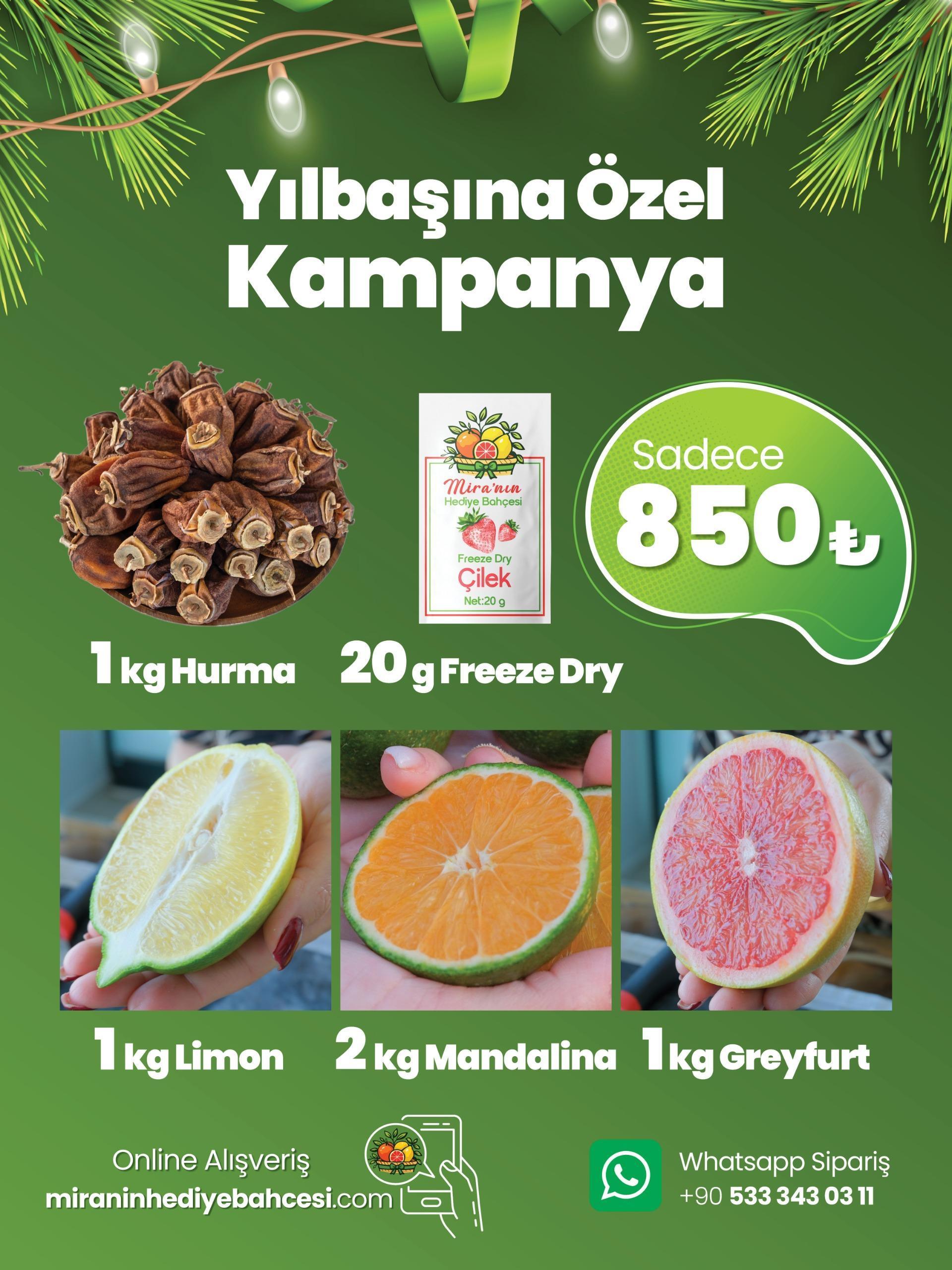 Miranın Hediye Bahçesi